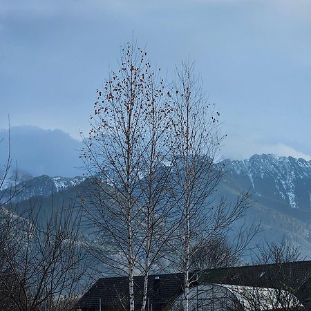 Cabana Bujor De Munte Rîşnov Luaran gambar