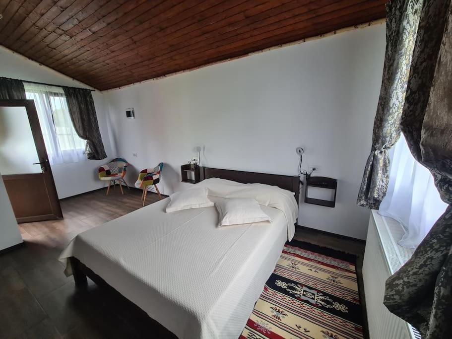 Cabana Bujor De Munte Rîşnov Luaran gambar